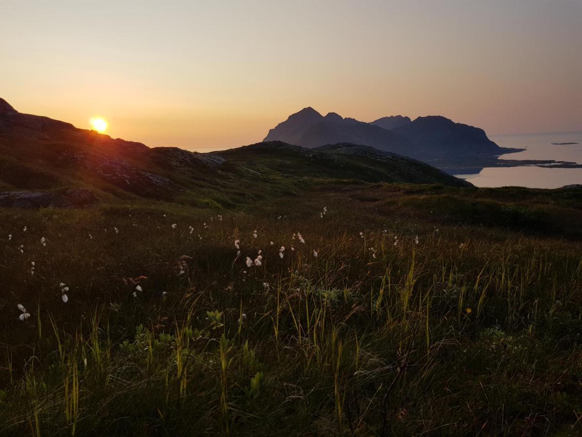 Villa Walter Lofoten With Sauna Kvalnes  Eksteriør bilde