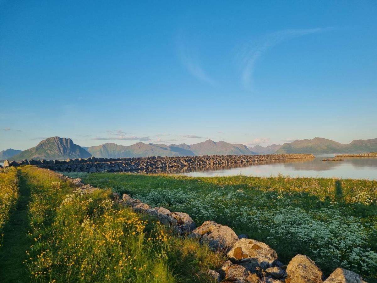 Villa Walter Lofoten With Sauna Kvalnes  Eksteriør bilde