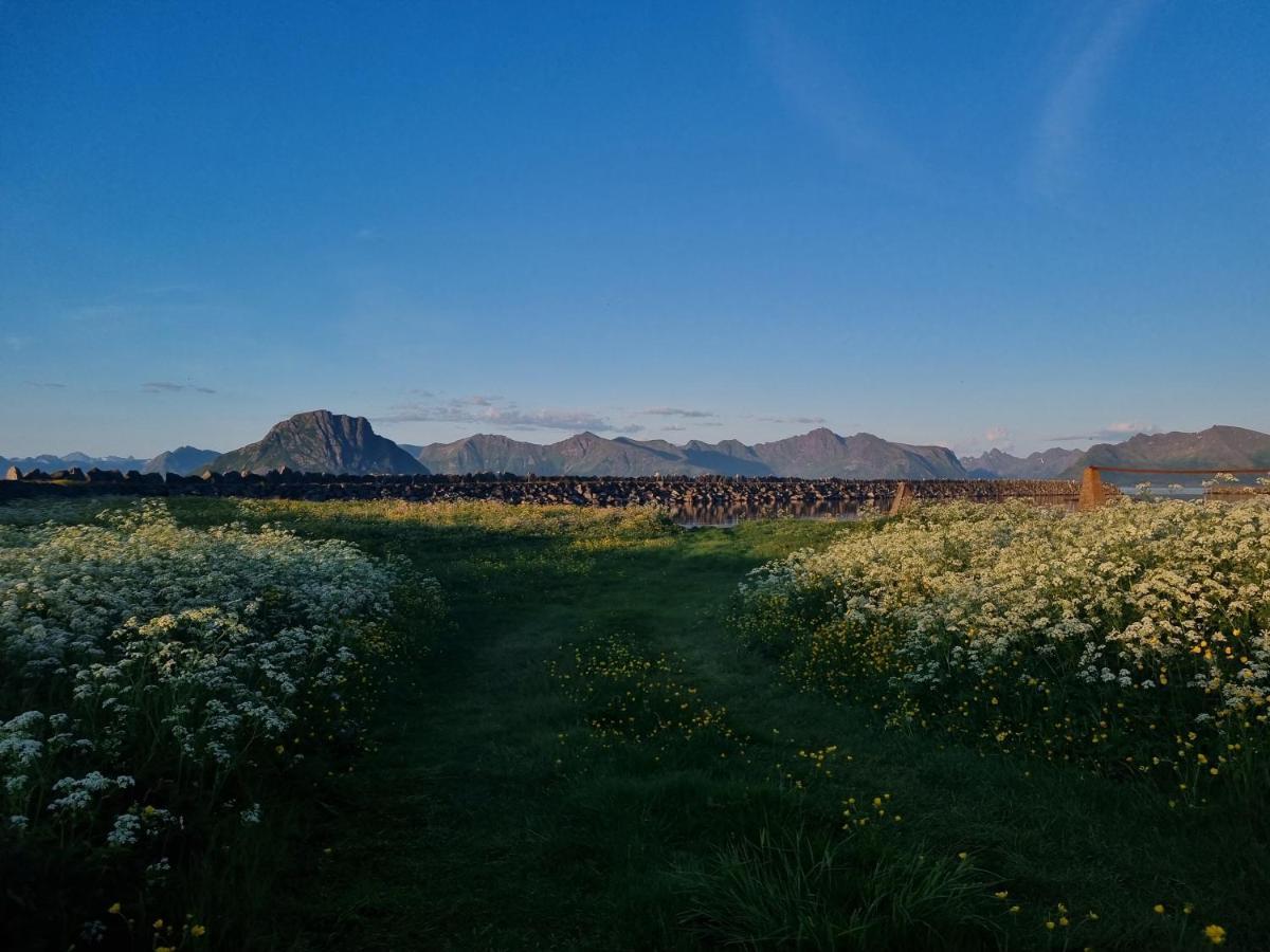 Villa Walter Lofoten With Sauna Kvalnes  Eksteriør bilde